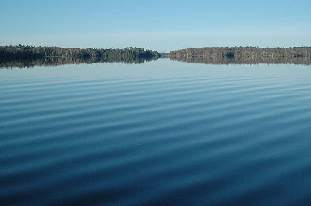Trout Lake 2008